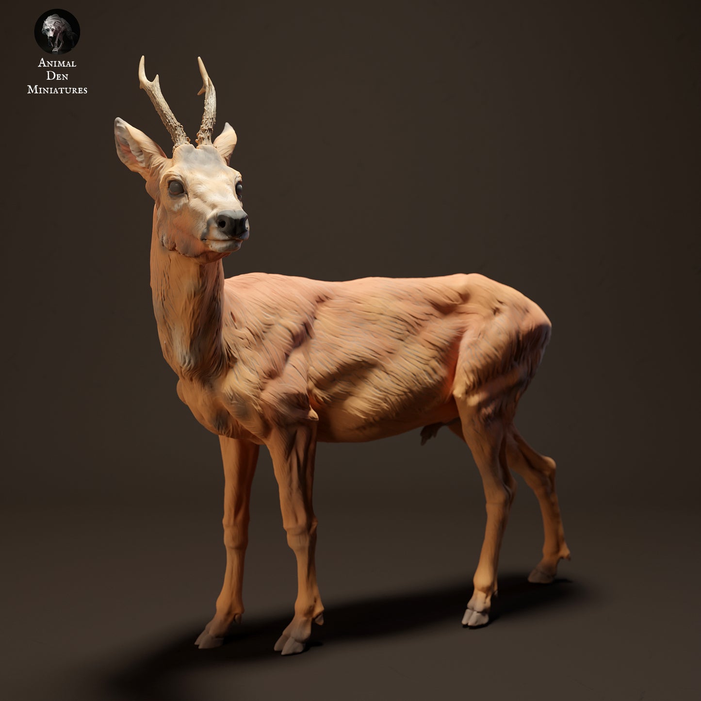 Roe Deer - Animal Den Miniatures