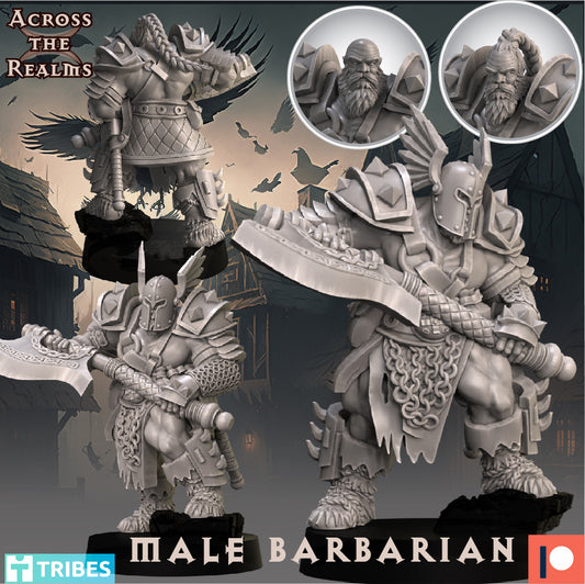 1x Male Barbarian - Across the Realms