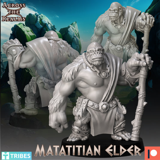 1x Matatitian Elder - Across the Realms