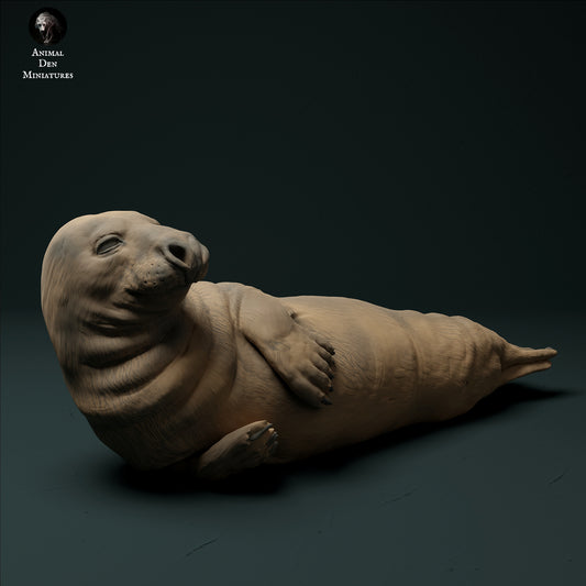 Grey Seal Male - Animal Den Miniatures