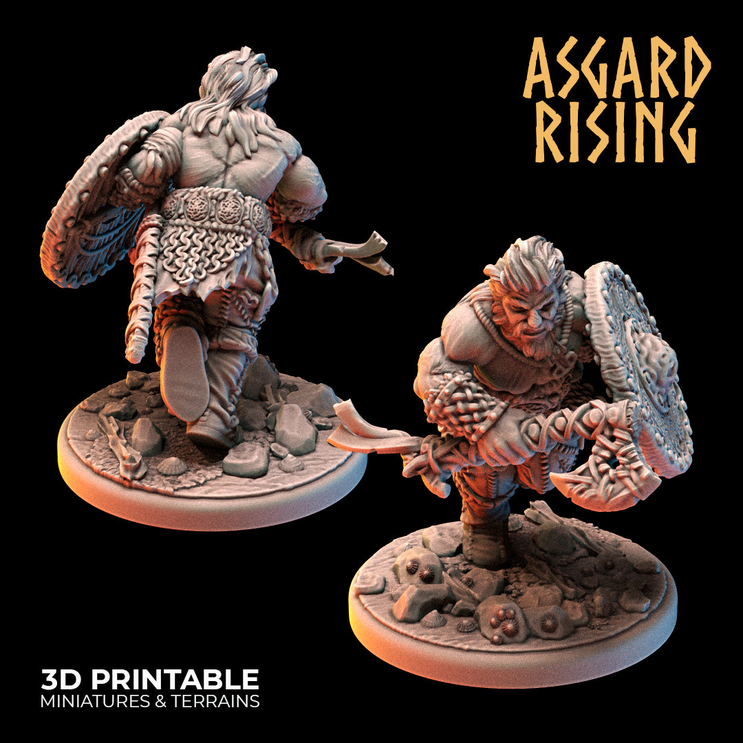 VIKINGS - Warriors Modular Warband - Asgard Rising