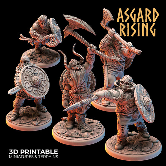 VIKINGS - Warriors Modular Warband - Asgard Rising