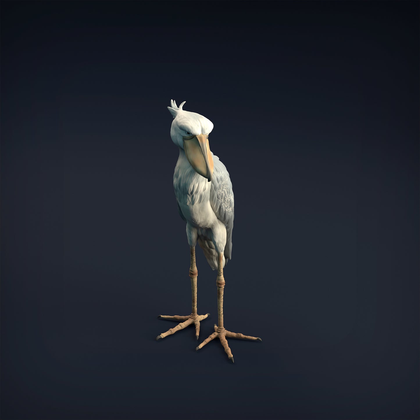 Shoebill - Animal Den Miniatures