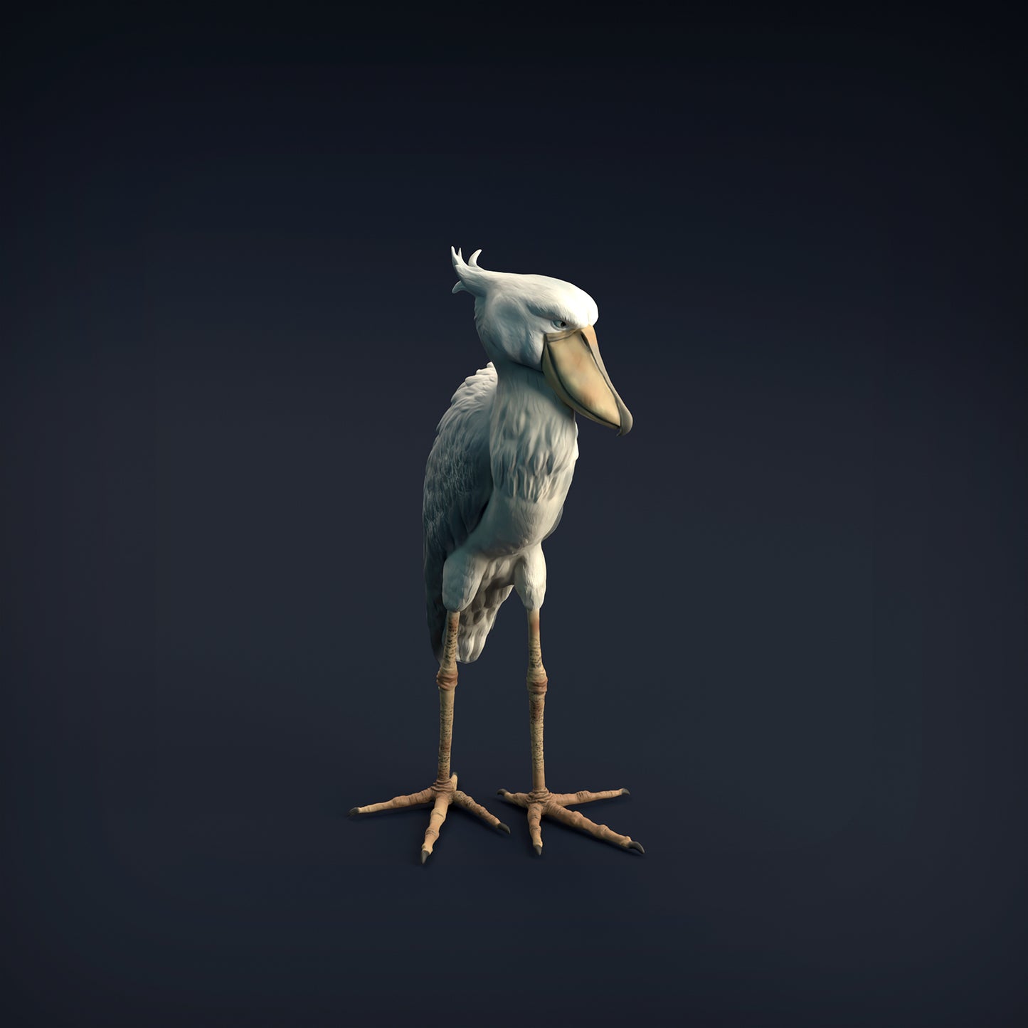 Shoebill - Animal Den Miniatures