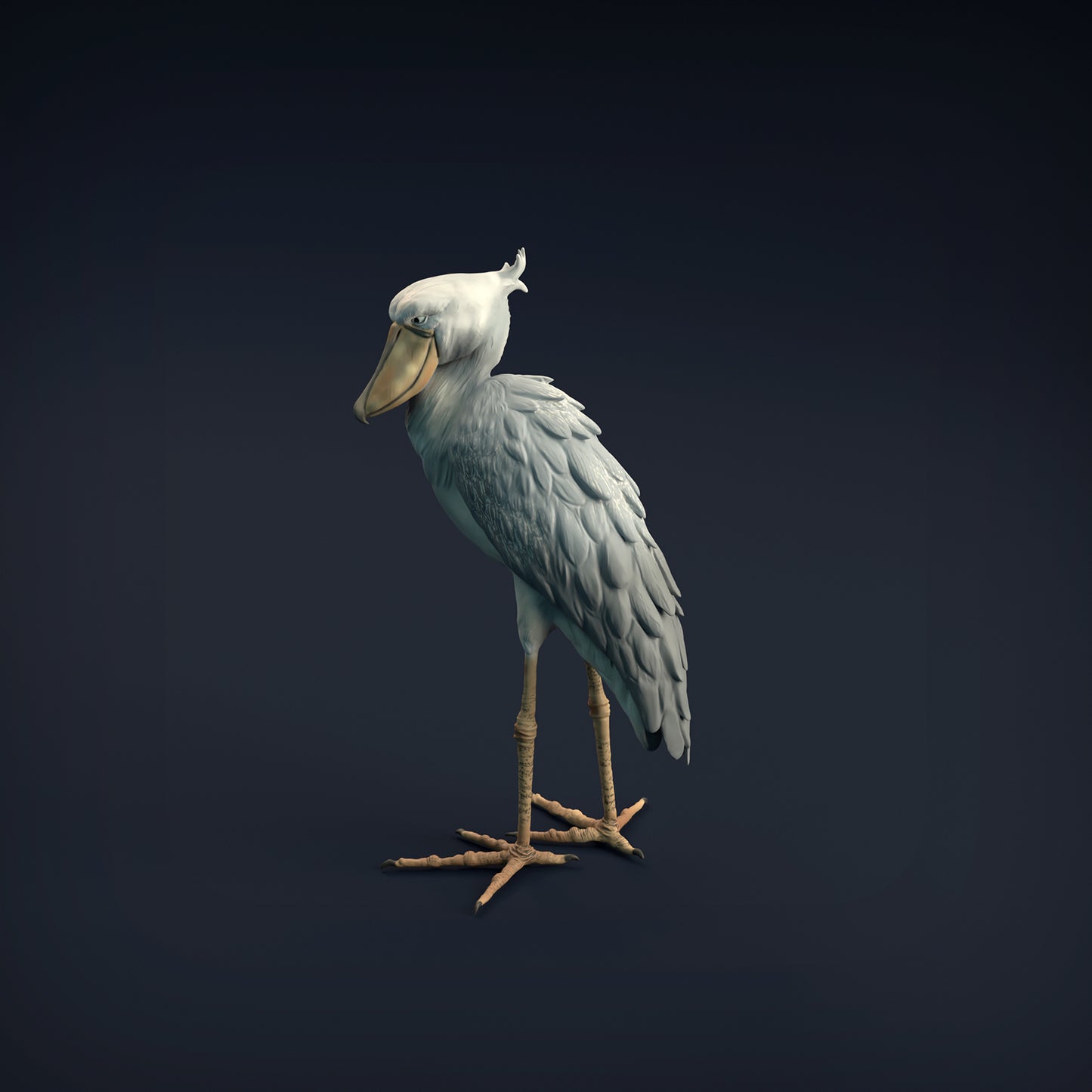 Shoebill - Animal Den Miniatures