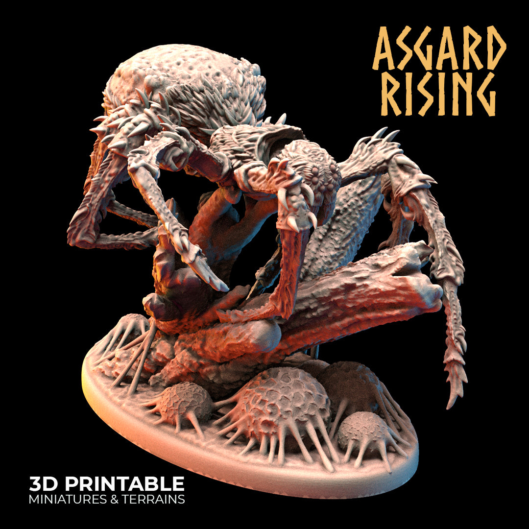 Forest Spiders - Asgard Rising