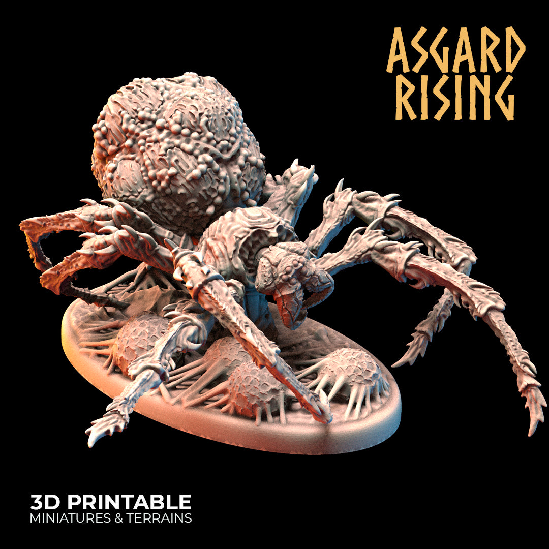 Forest Spiders - Asgard Rising