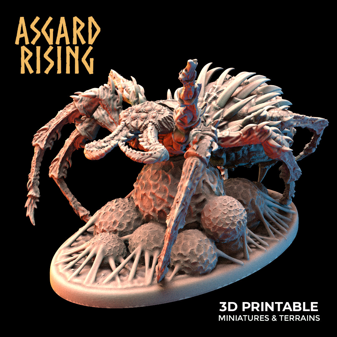 Forest Spiders - Asgard Rising