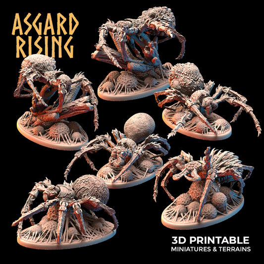 Forest Spiders - Asgard Rising