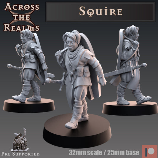 1x Squire - Across the Realms