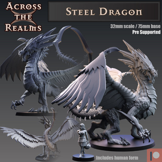 Steel Dragon - Across the Realms