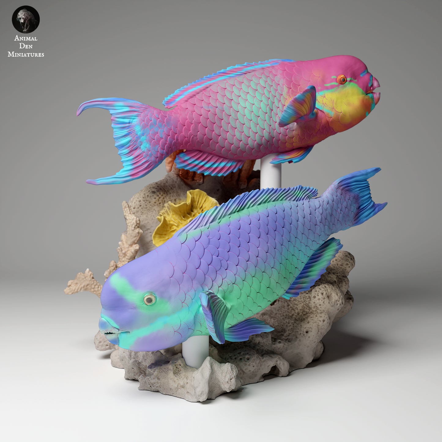 Steephead Parrotfish - Animal Den Miniatures