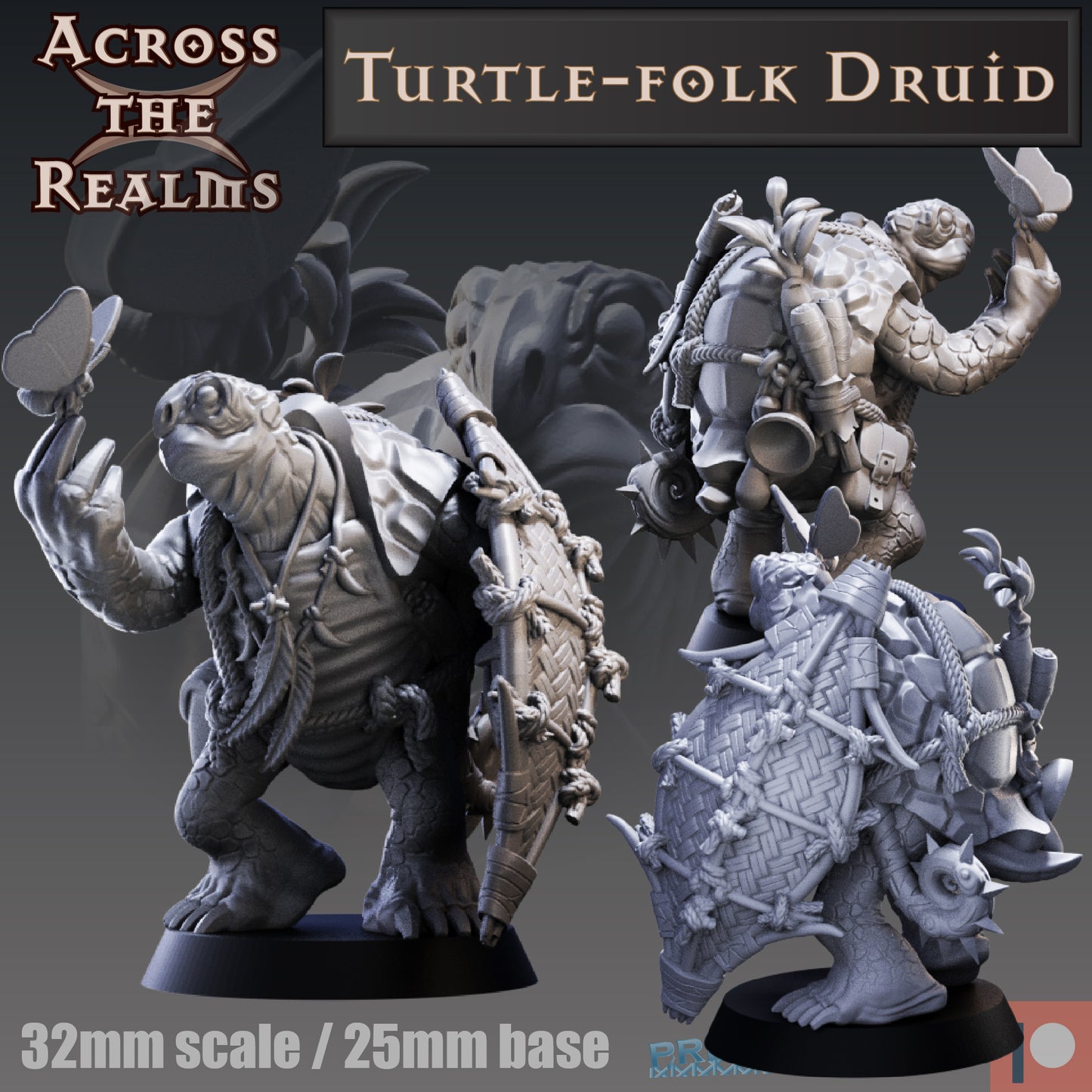 Turtle-Folk Druid - Across the Realms