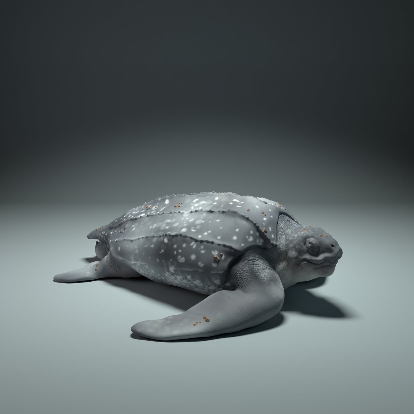 Leatherback Sea Turtle - Animal Den Miniatures