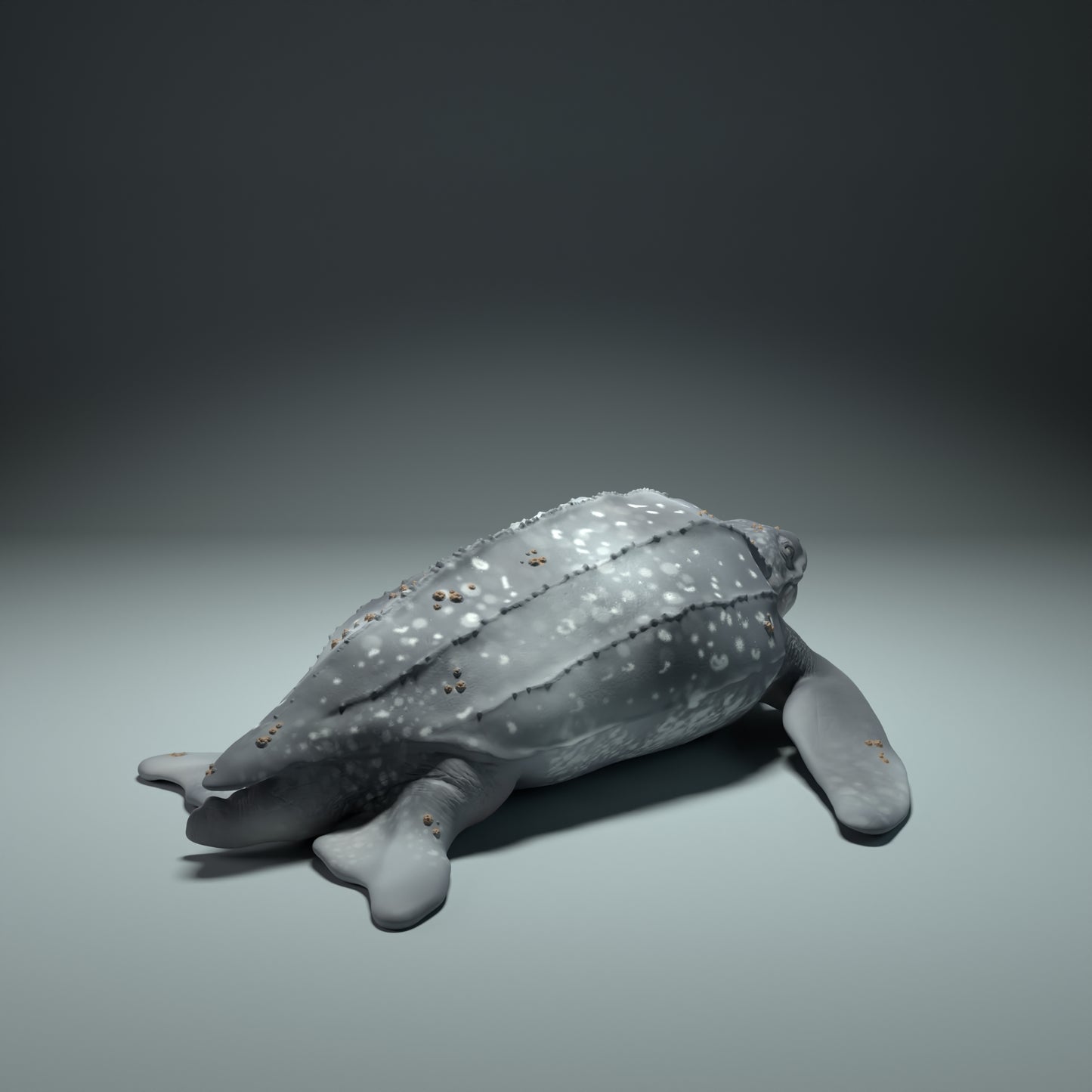 Leatherback Sea Turtle - Animal Den Miniatures