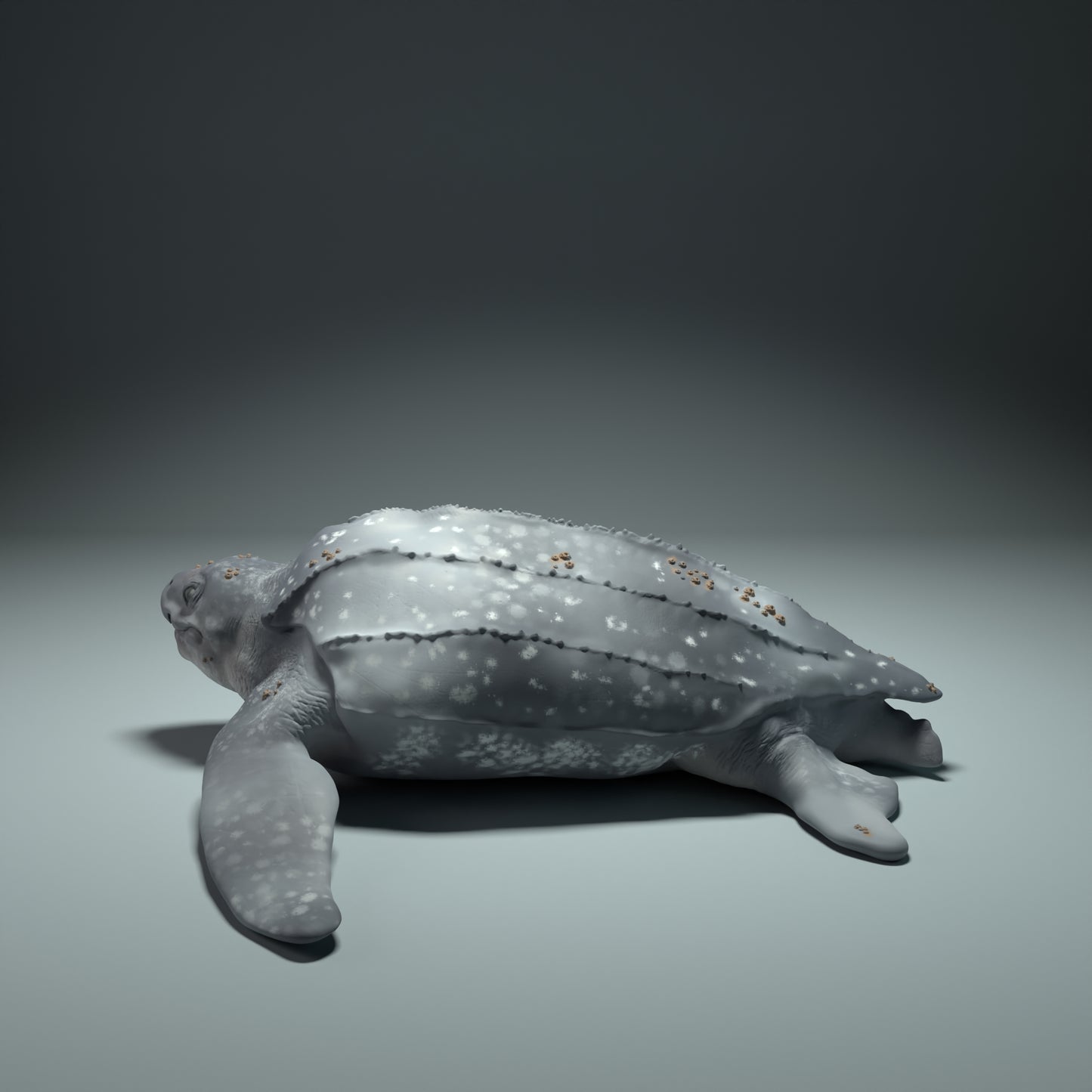 Leatherback Sea Turtle - Animal Den Miniatures