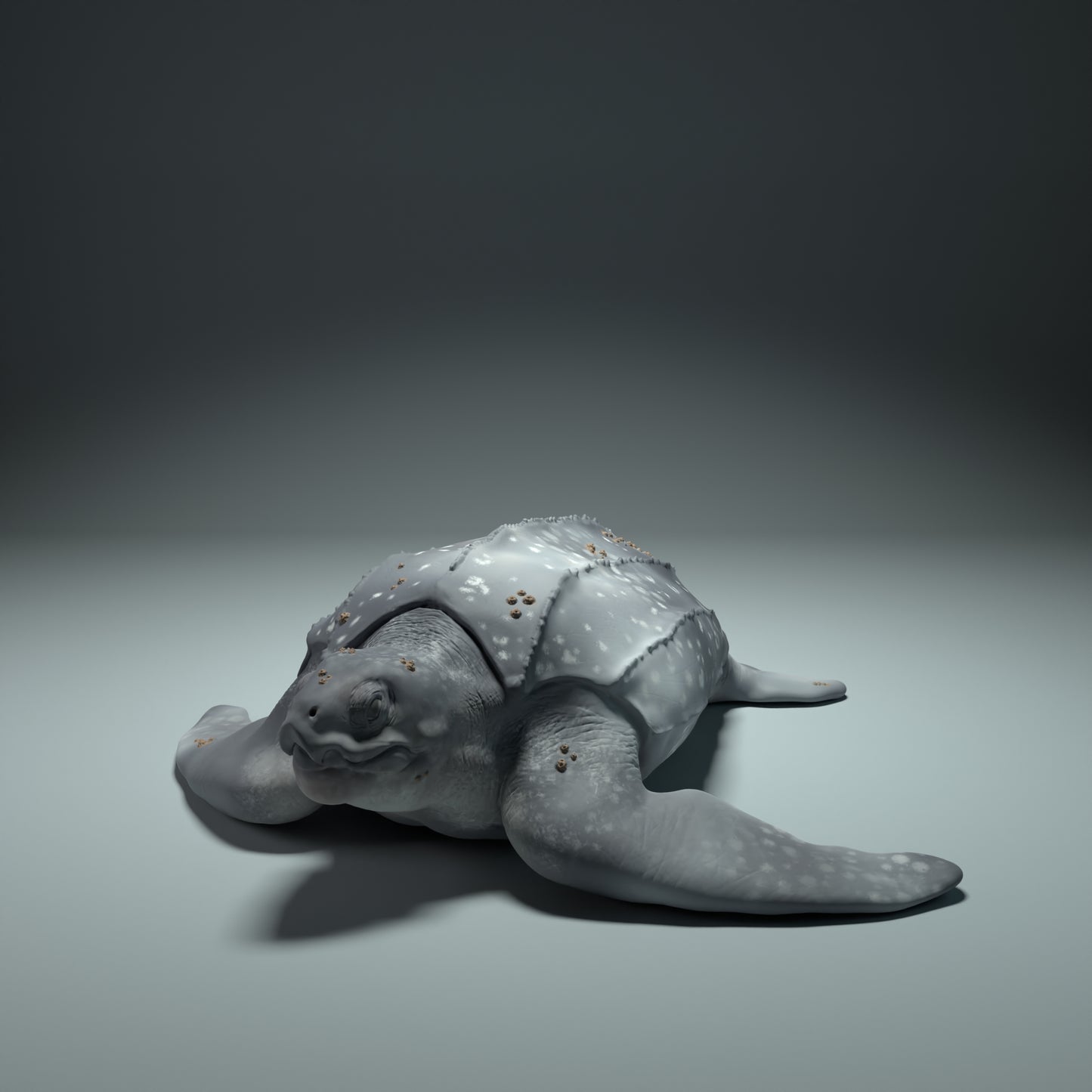 Leatherback Sea Turtle - Animal Den Miniatures