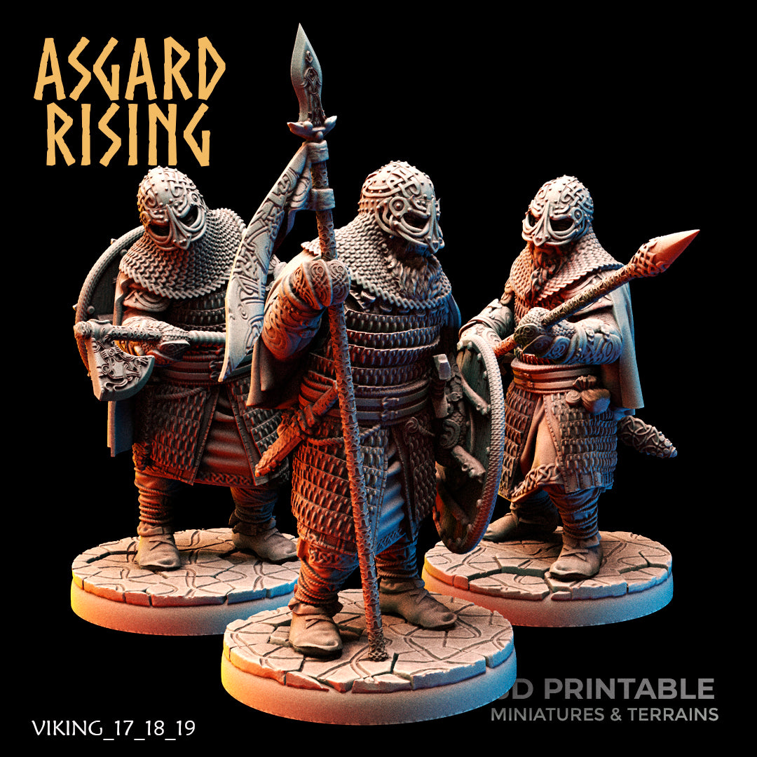 Viking Hersir with Guardsmen - Asgard Rising