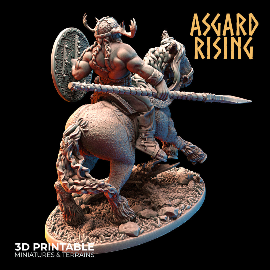 VIKING: Riders Modular Warband - Asgard Rising