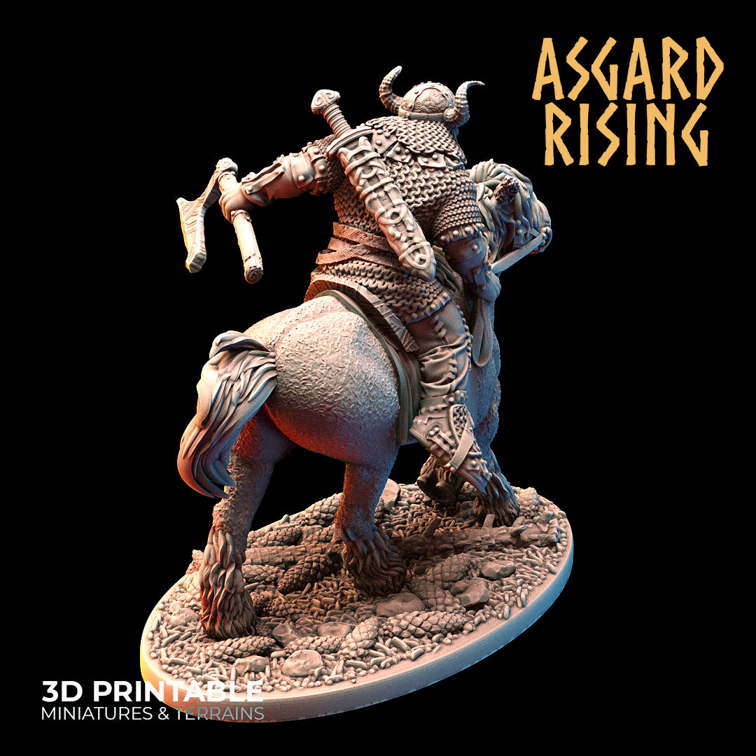 VIKING: Riders Modular Warband - Asgard Rising