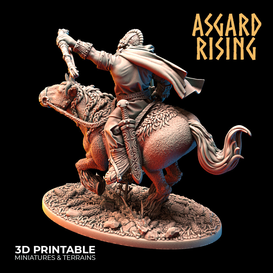 VIKING: Riders Modular Warband - Asgard Rising