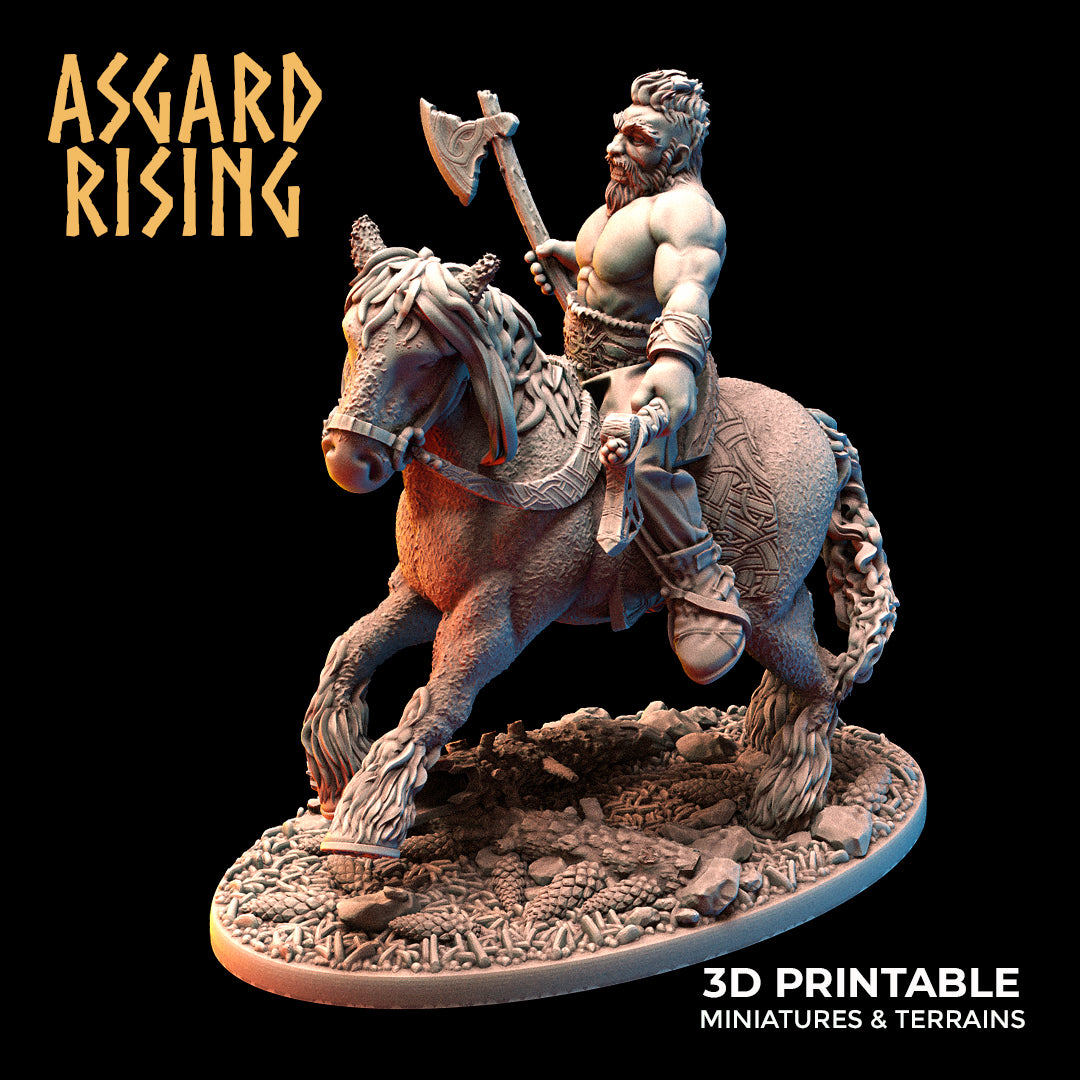 VIKING: Riders Modular Warband - Asgard Rising