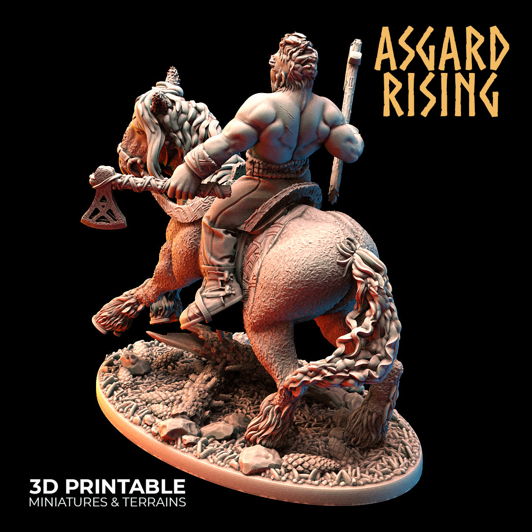 VIKING: Riders Modular Warband - Asgard Rising