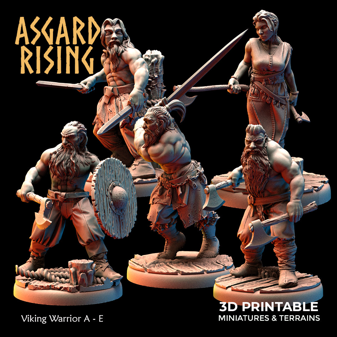 Viking Warriors (ver. 1)  - Asgard Rising