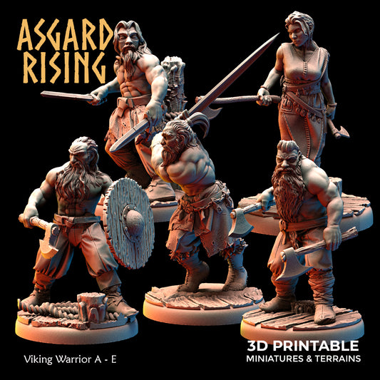 Viking Warriors (ver. 1)  - Asgard Rising