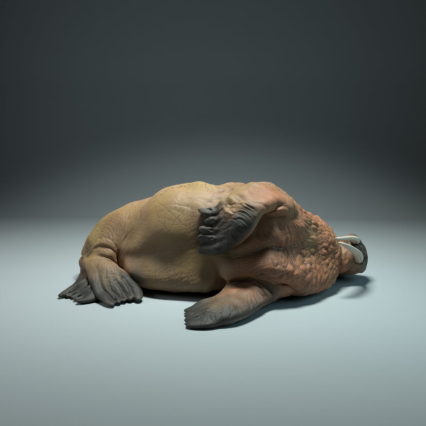 Walrus Sleep - Animal Den Miniatures