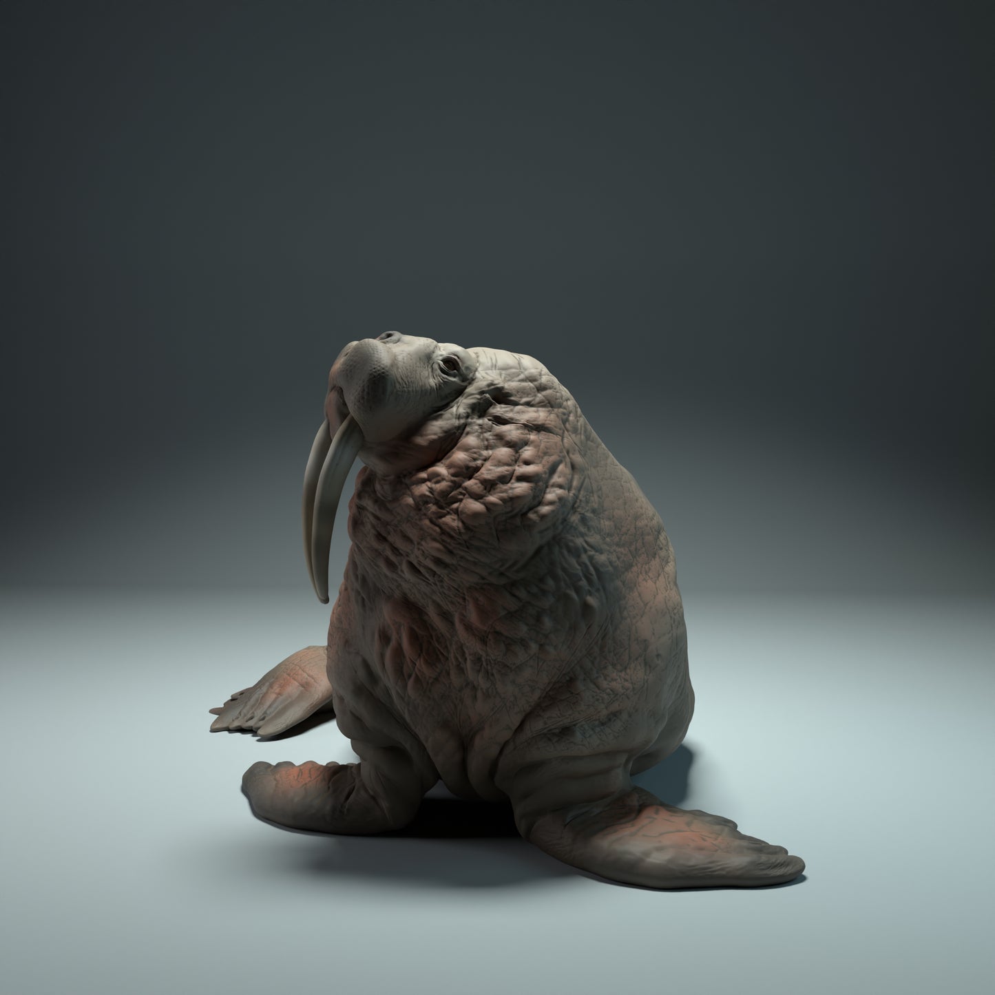 Walrus - Animal Den Miniatures