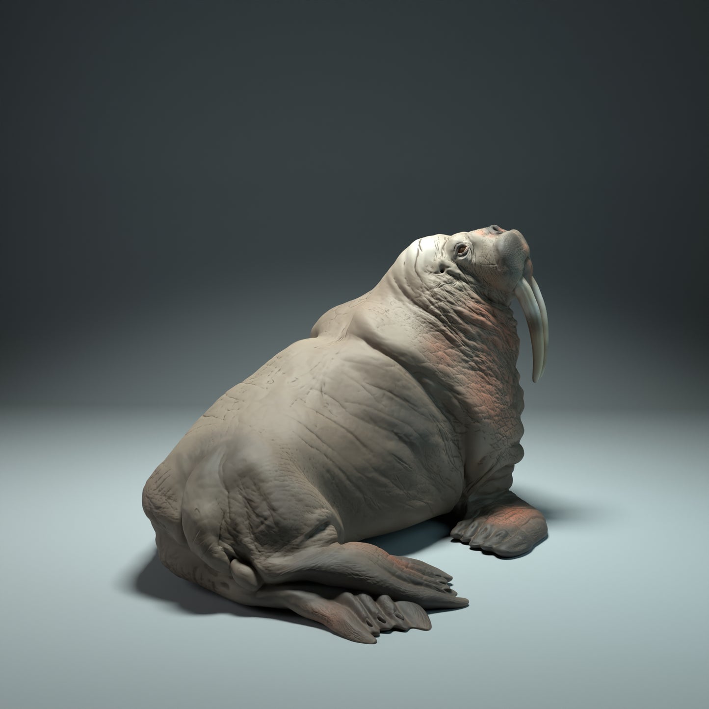 Walrus - Animal Den Miniatures