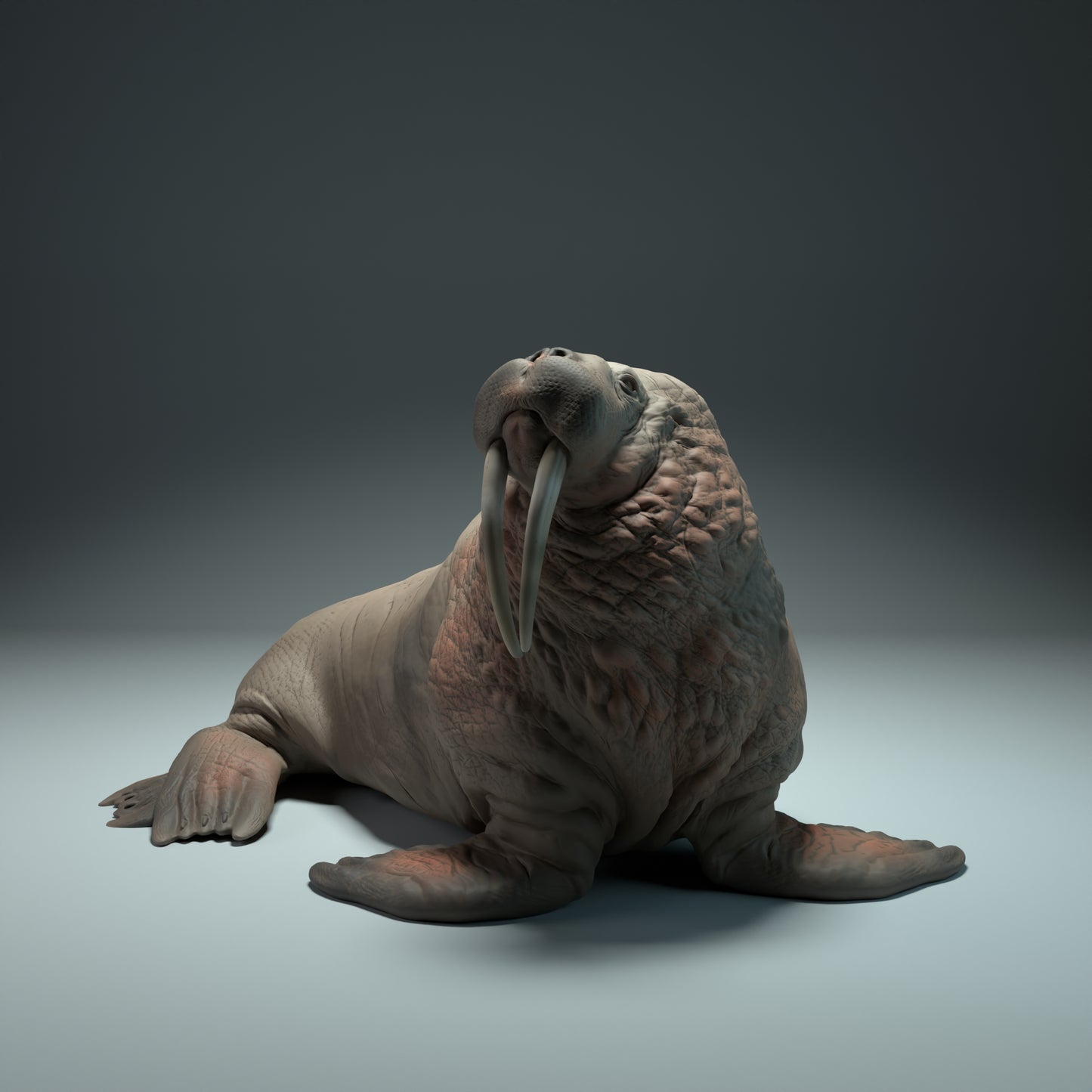 Walrus - Animal Den Miniatures