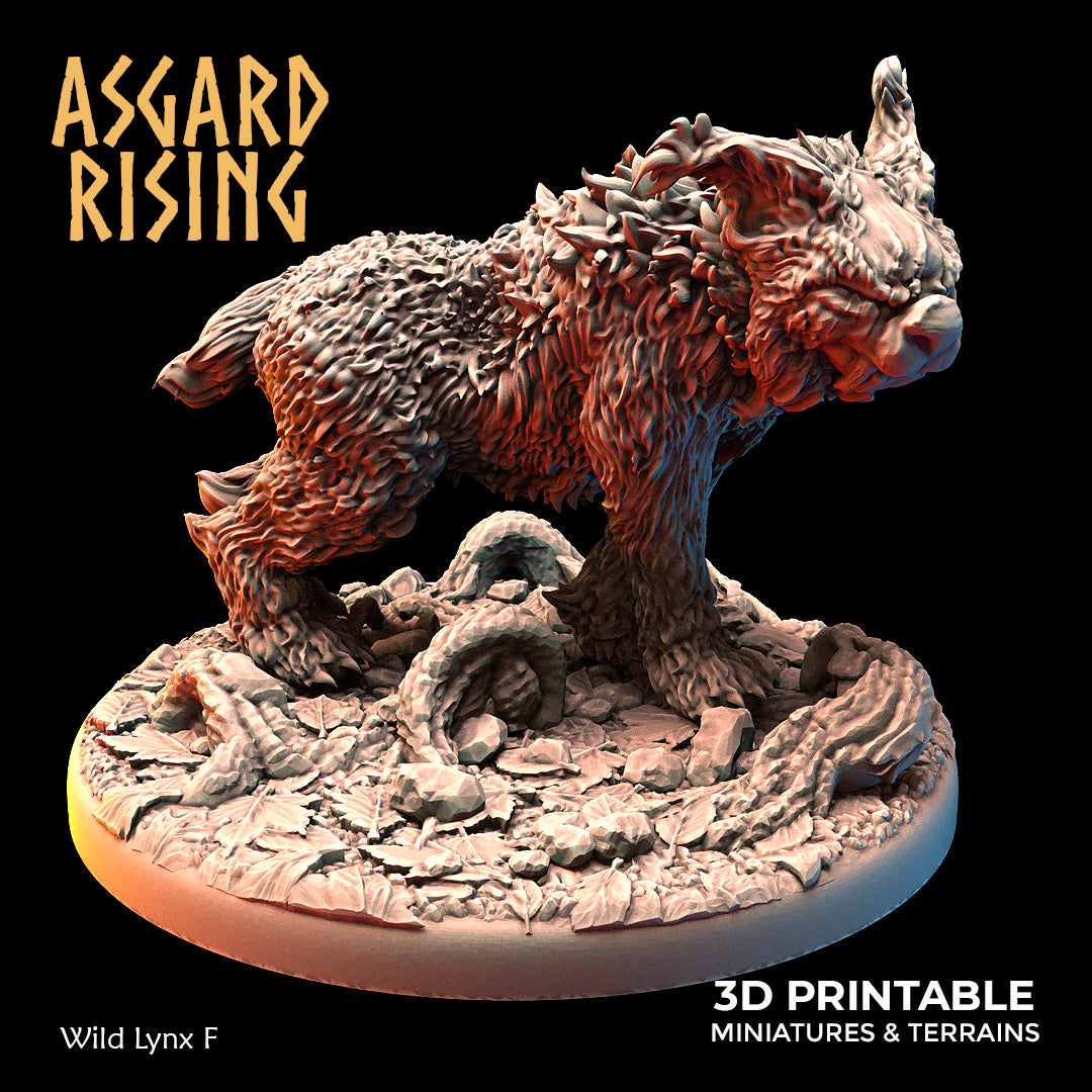 Wild Lynxes - Asgard Rising