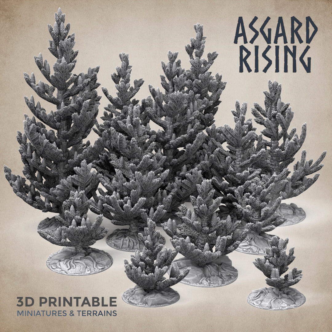 Young Conifers with Trays - Spruce Forest Set - Asgard Rising