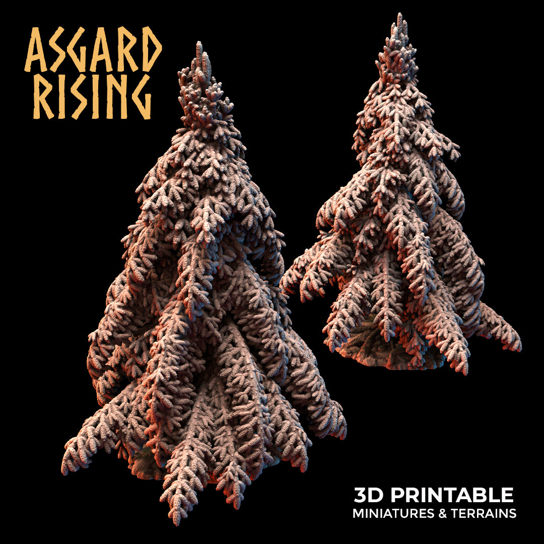 Young Conifers - Spruce Forest Set - Asgard Rising