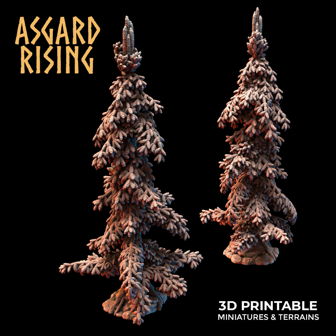 Young Conifers - Spruce Forest Set - Asgard Rising