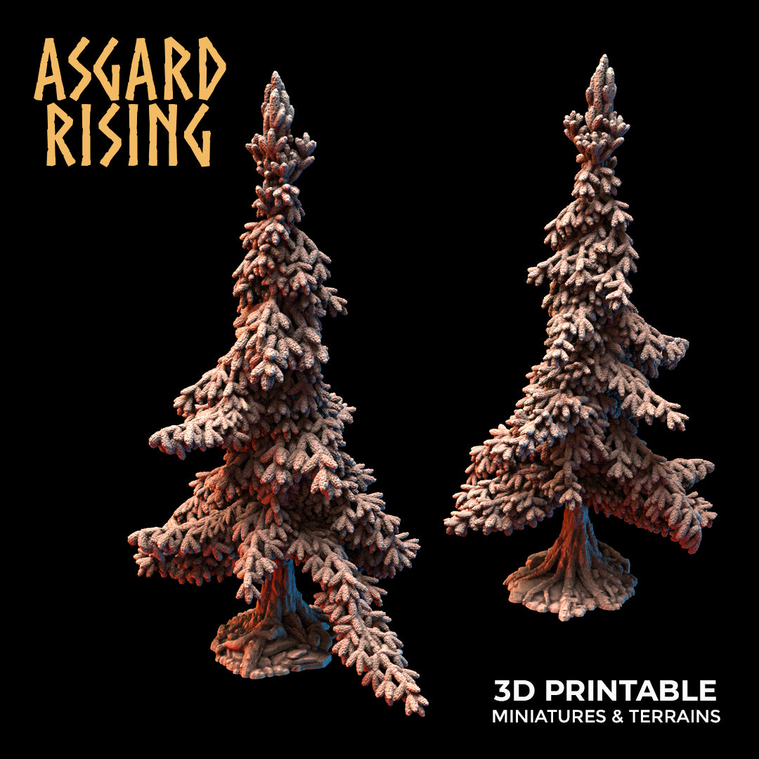 Young Conifers - Spruce Forest Set - Asgard Rising