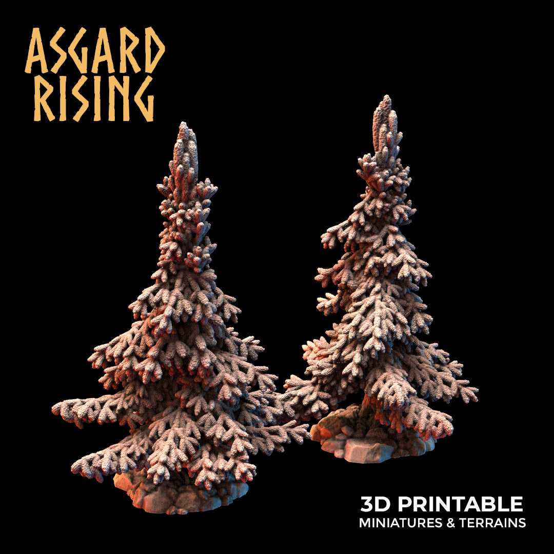 Young Conifers - Spruce Forest Set - Asgard Rising