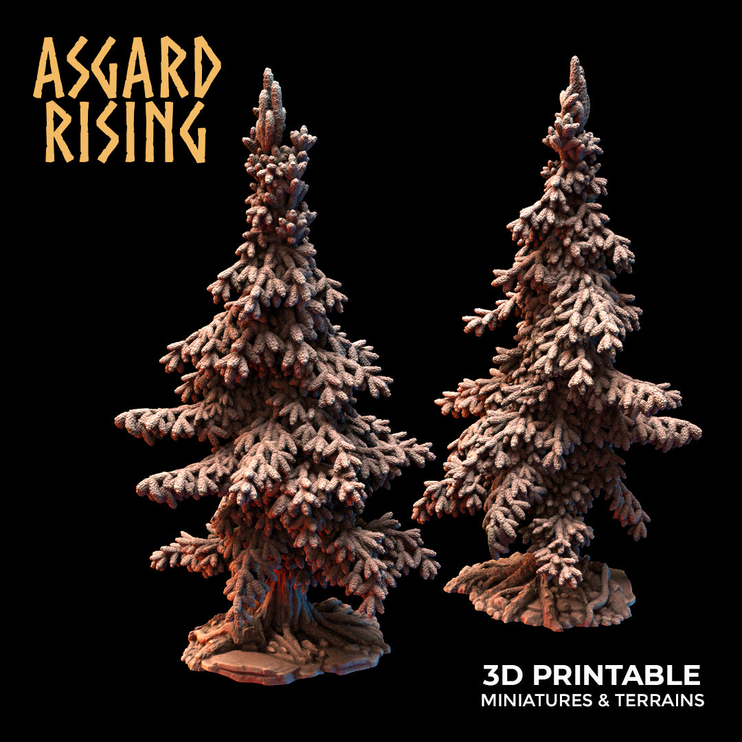 Young Conifers - Spruce Forest Set - Asgard Rising