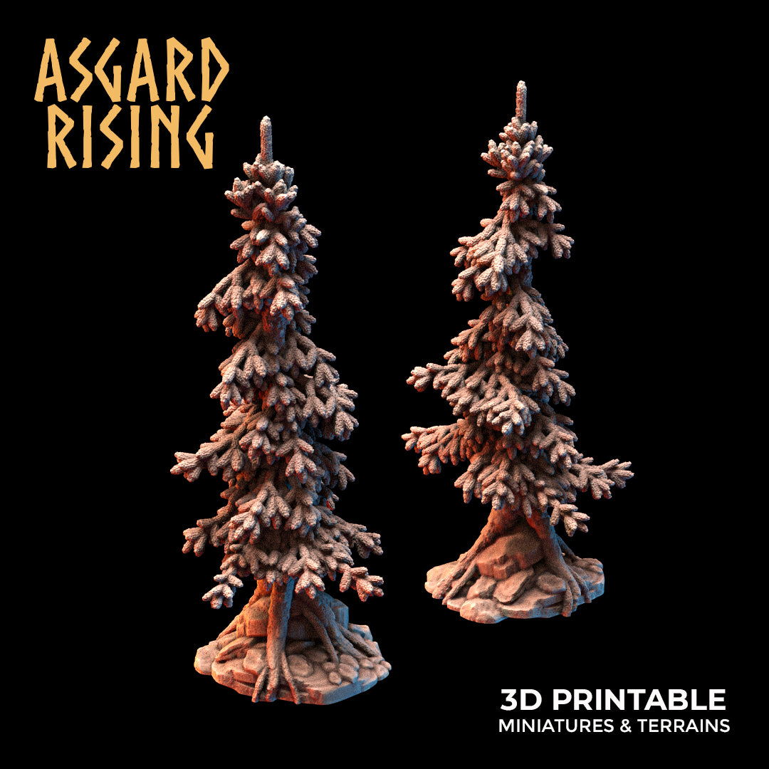 Young Conifers - Spruce Forest Set - Asgard Rising