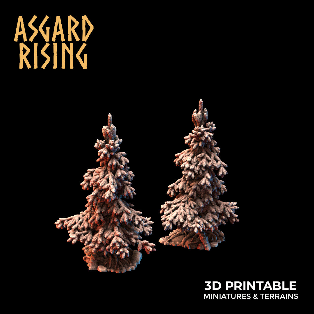 Young Conifers - Spruce Forest Set - Asgard Rising