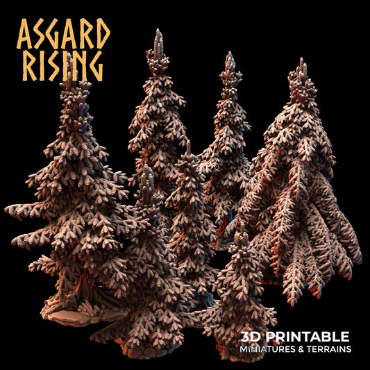 Young Conifers - Spruce Forest Set - Asgard Rising