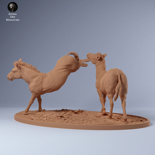 Zebras Fighting - Animal Den Miniatures