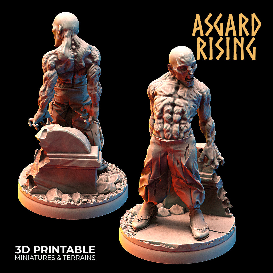 Zombies - Asgard Rising