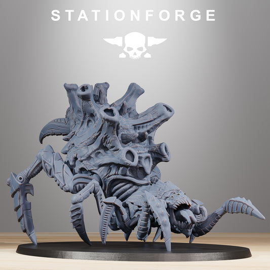 Araignée Xenaride - Station Forge