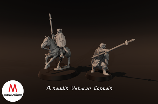 Arnaudin Veteranenkapitän - Medbury Miniatures