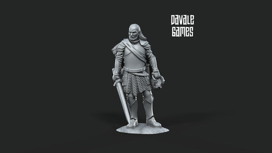 Capitaine vétéran du château gris - Château gris - Davale Games