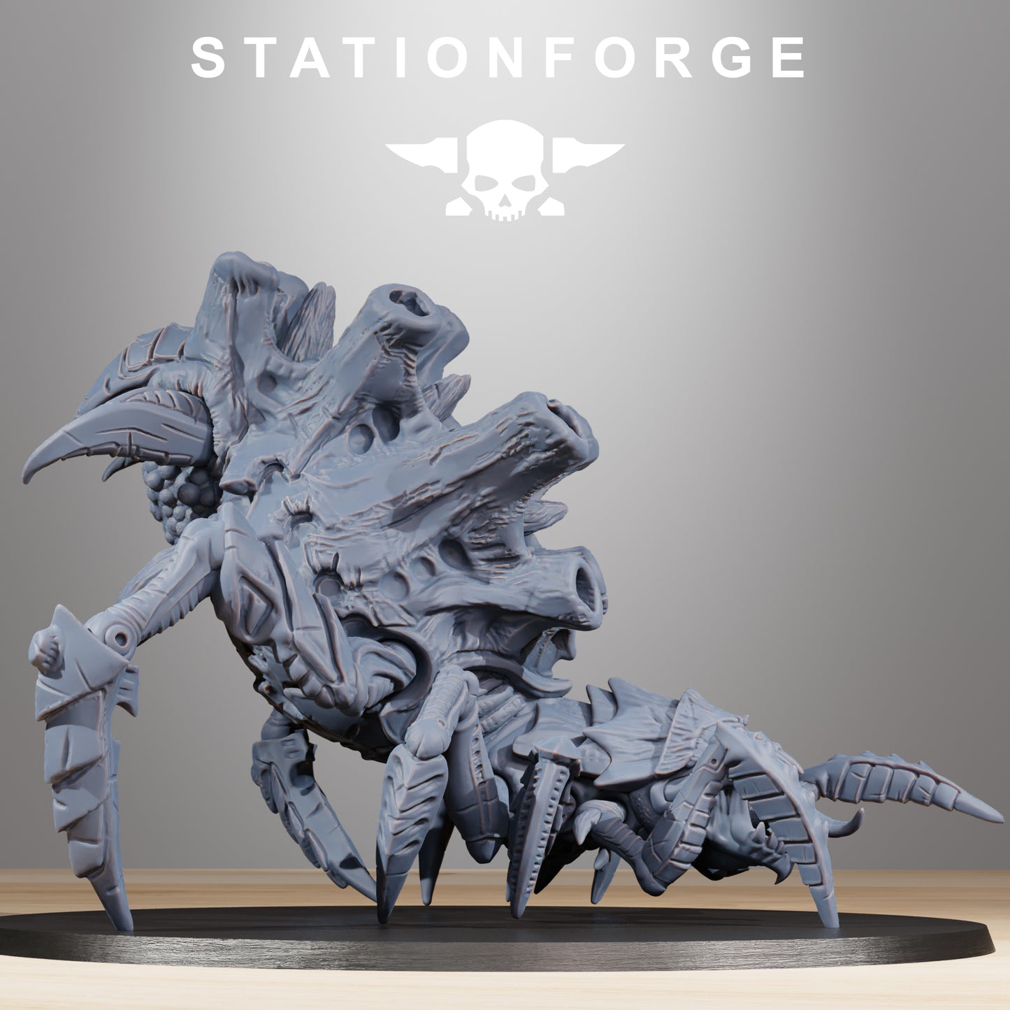 Araignée Xenaride - Station Forge