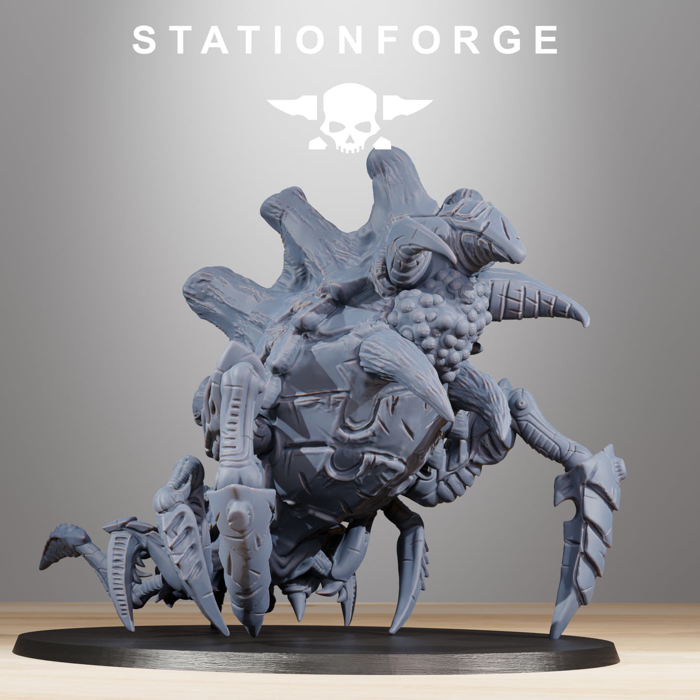 Araignée Xenaride - Station Forge